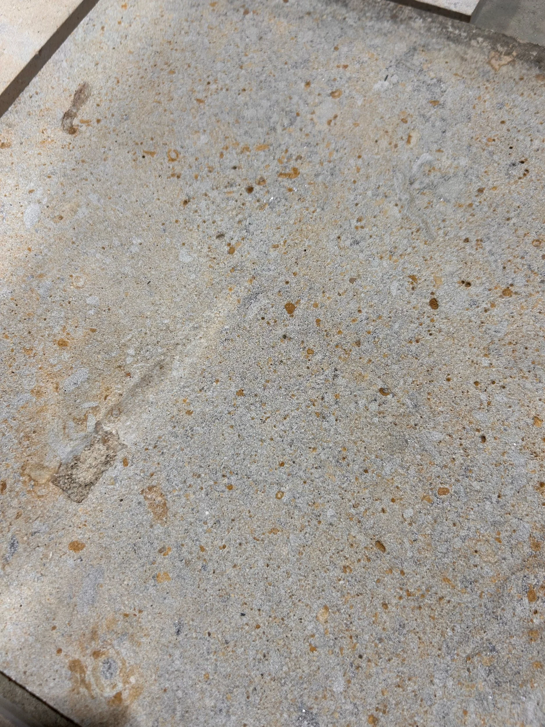 2F5E76D8-A704-4948-B02B-5B554F775E08.jpeg