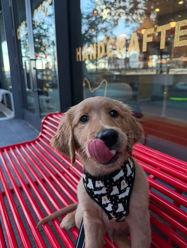 Did someone say a Sunday night walk and a pup cup? 😉
@nicojessma