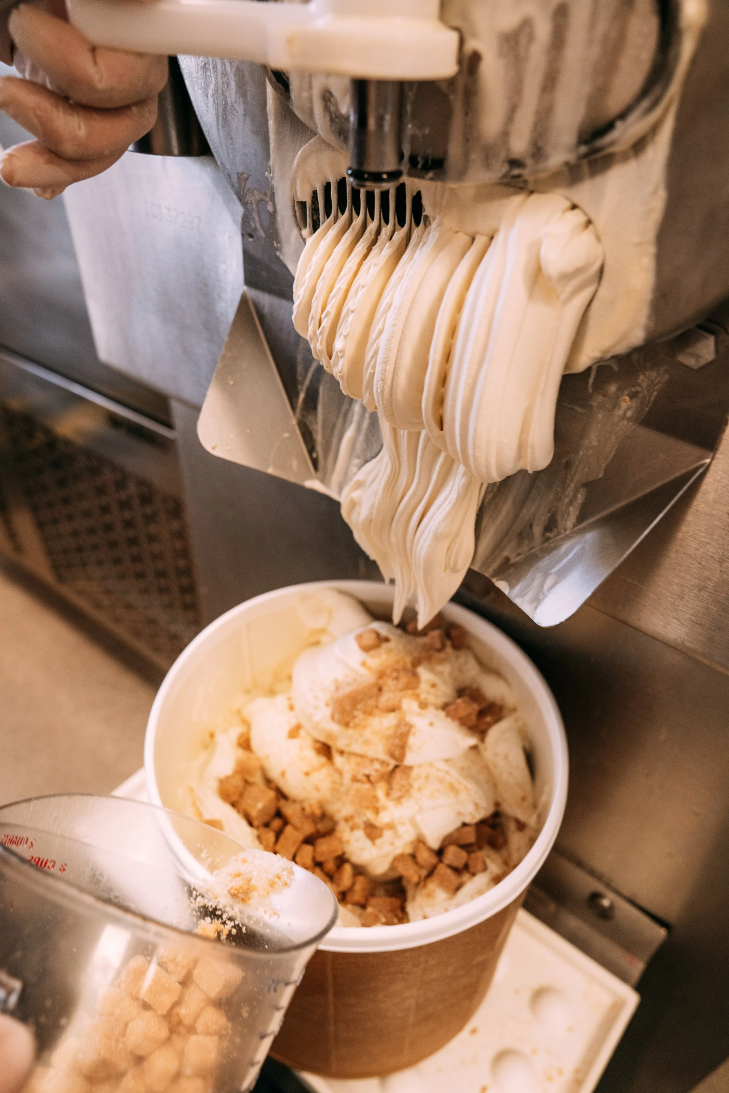 snickerdoodle-09736.jpg