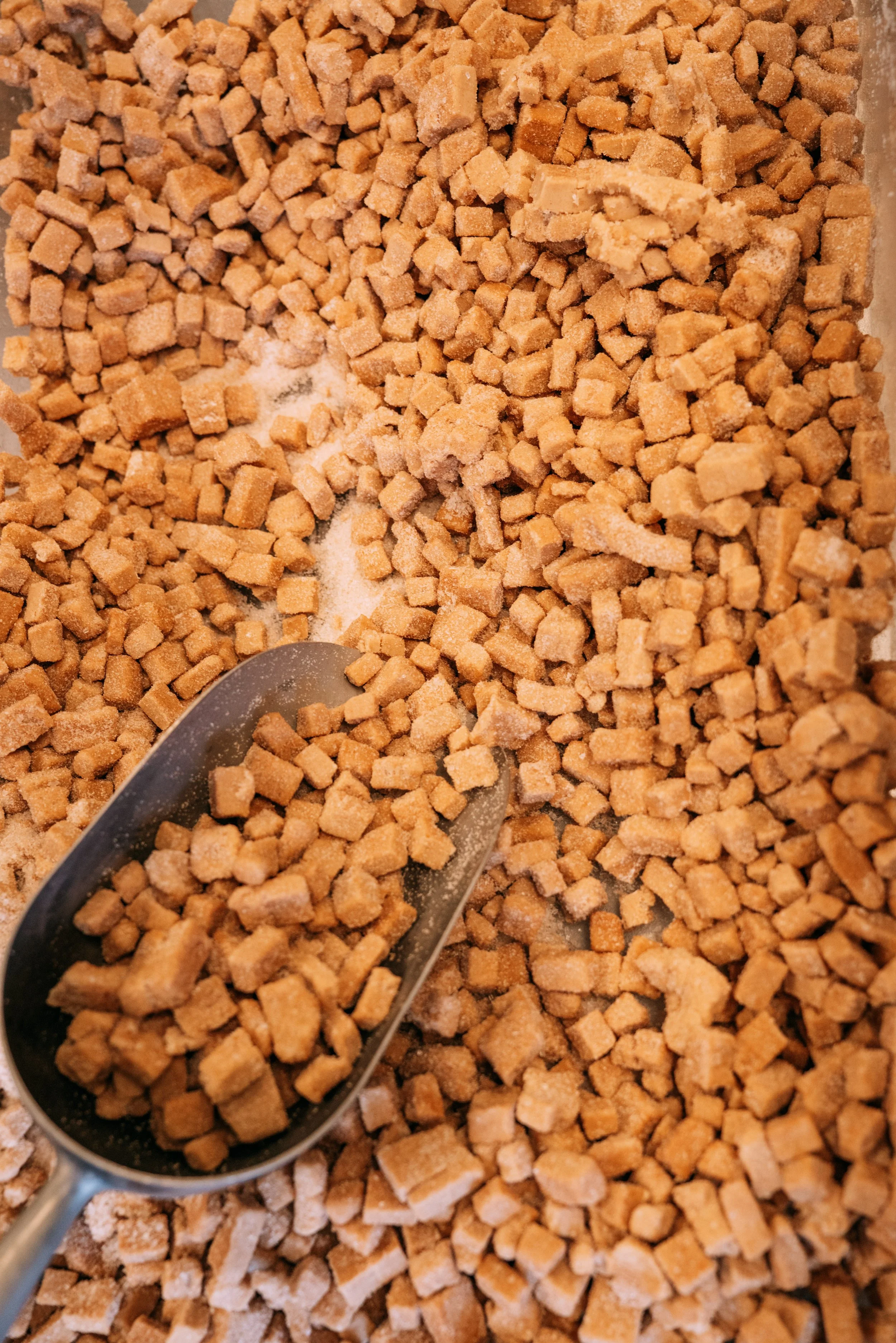 snickerdoodle-09750.jpg