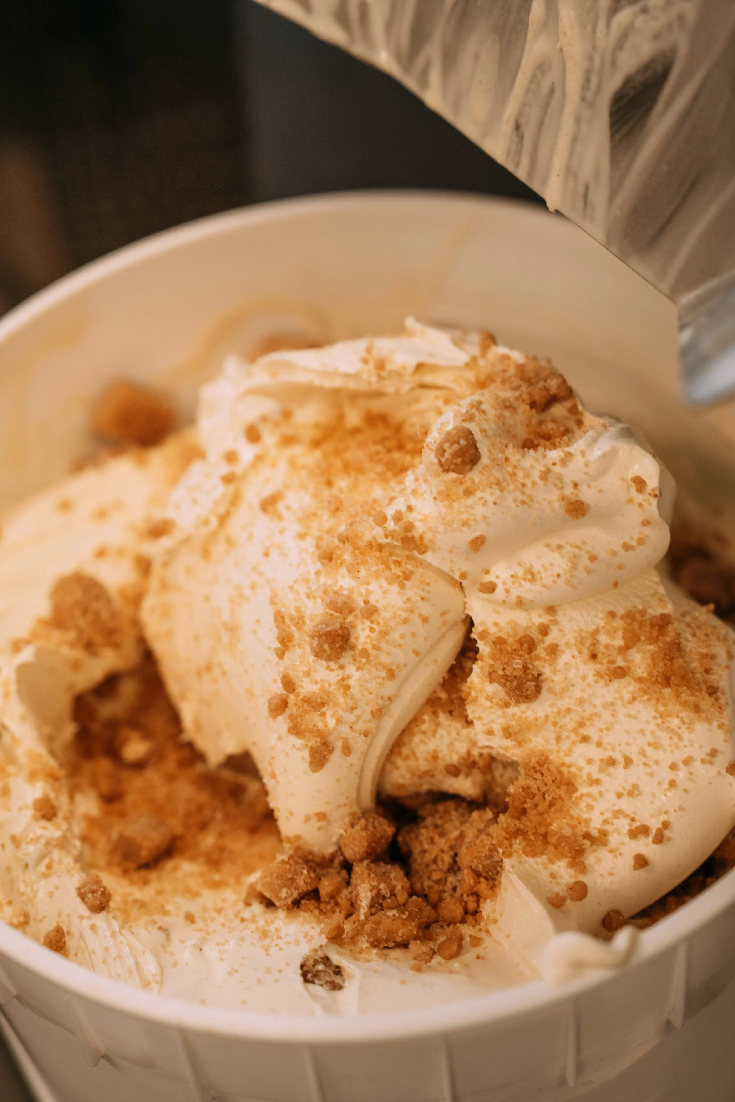 snickerdoodle-09767.jpg