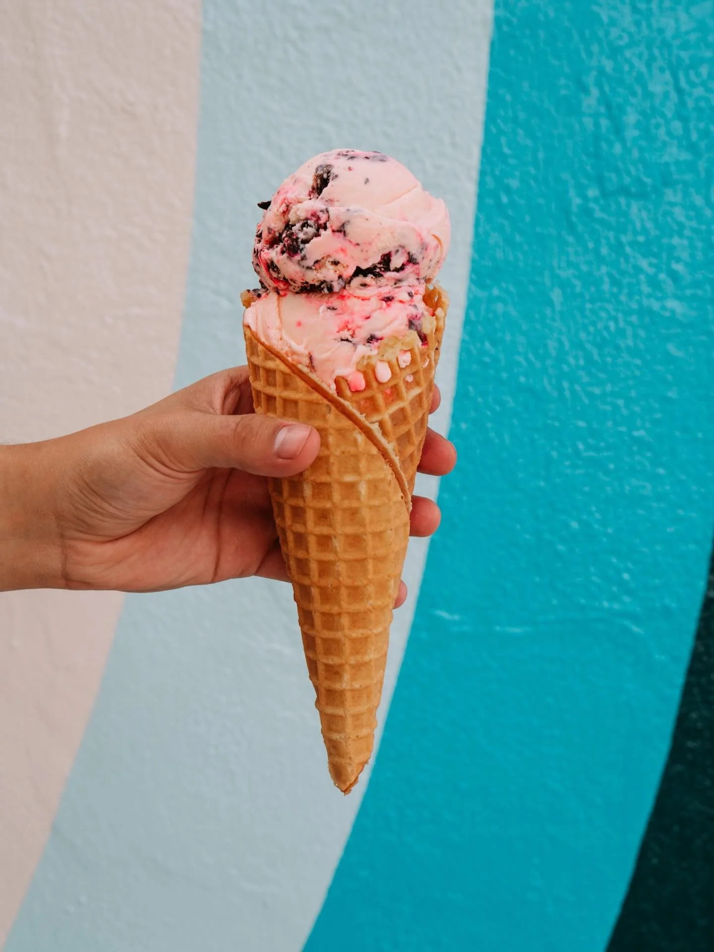 Entering Candy Cane Forest&hellip; population: you and a double scoop. 🍦🌲