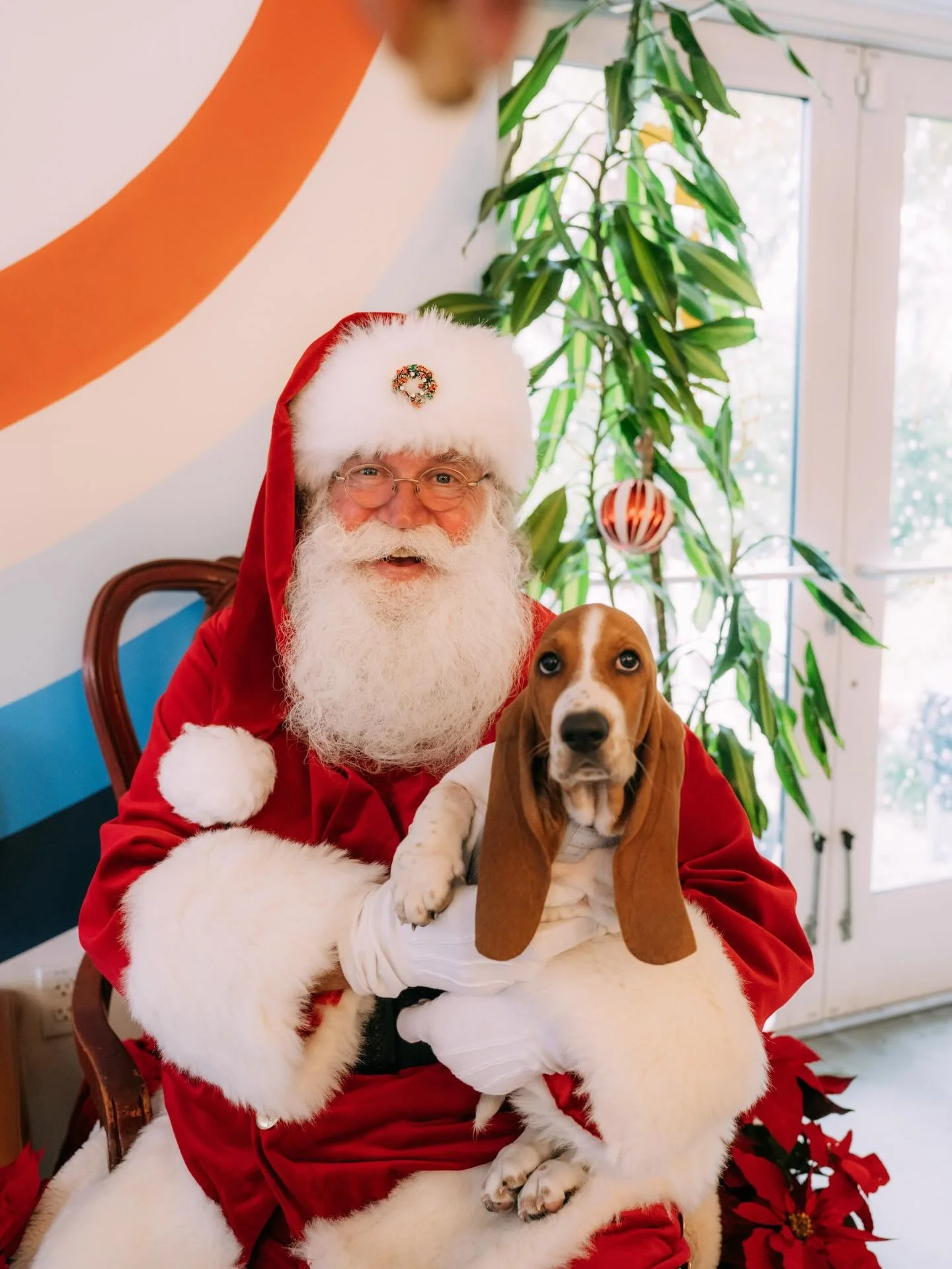 Ho ho ho! A special message from Santa: don&rsquo;t forget to stock up on pints, cookies, gift cards, merch, and a little extra holiday cheer 🎅🎄🍨🐓