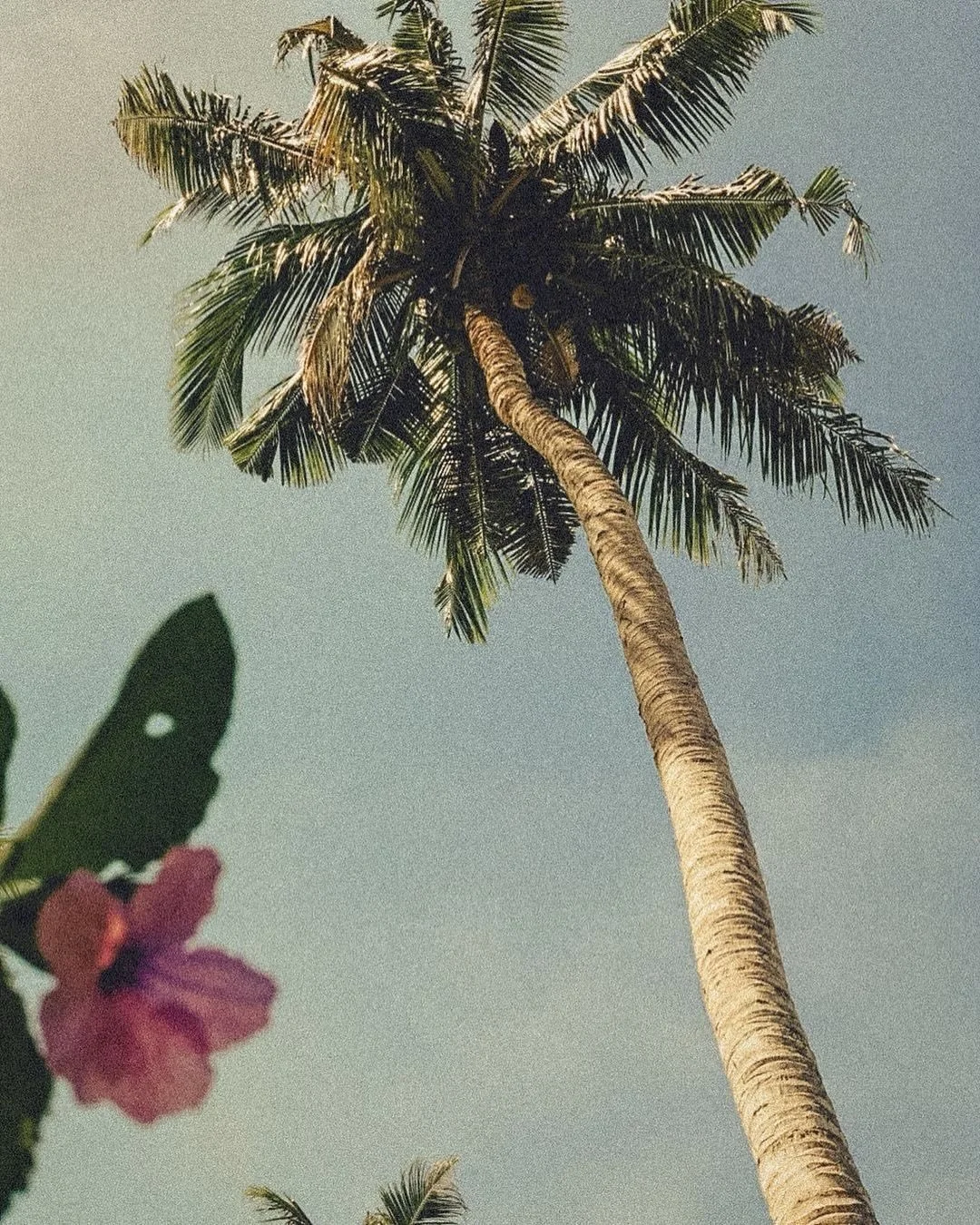 We&rsquo;re on island time!⛱️🌊🥥🐠🌺

Something tropical is dropping tomorrow🏄&zwj;♀️