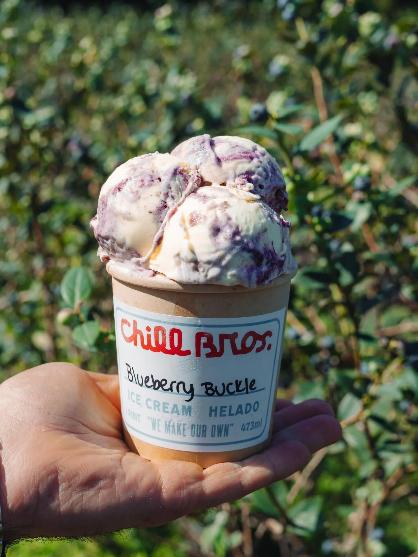 Blueberry Buckle 🫐
Sweet blueberry jam, lemon-kissed cream, and a brown sugar oat crumble for the perfect scoop!