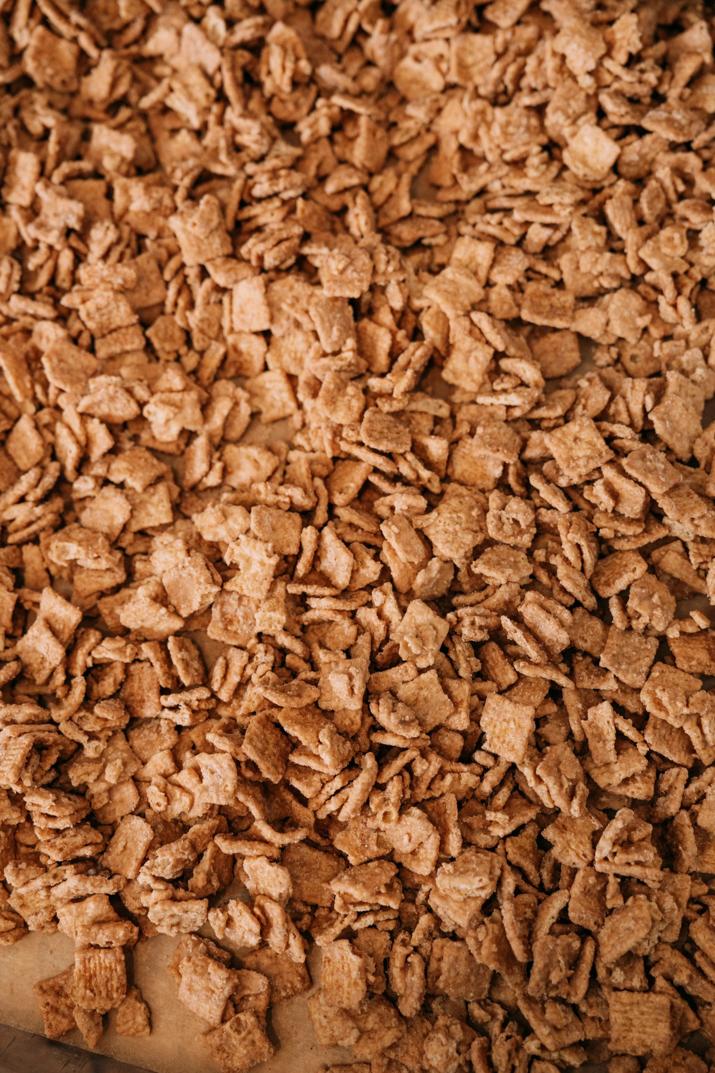 CINNAMON_TOAST-06754.jpg