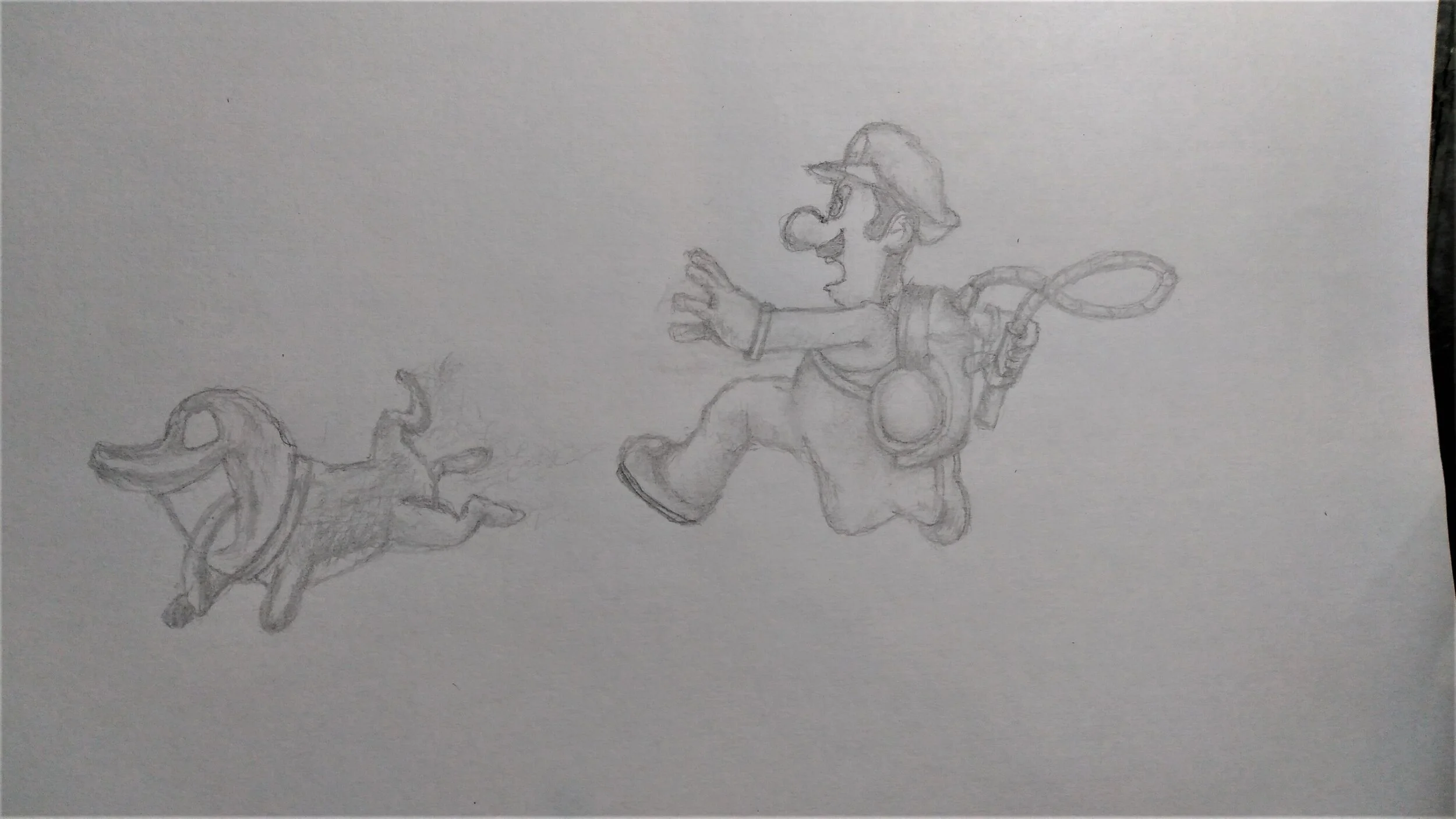Luigi (2).jpg