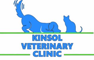 kinsol-logo.jpg