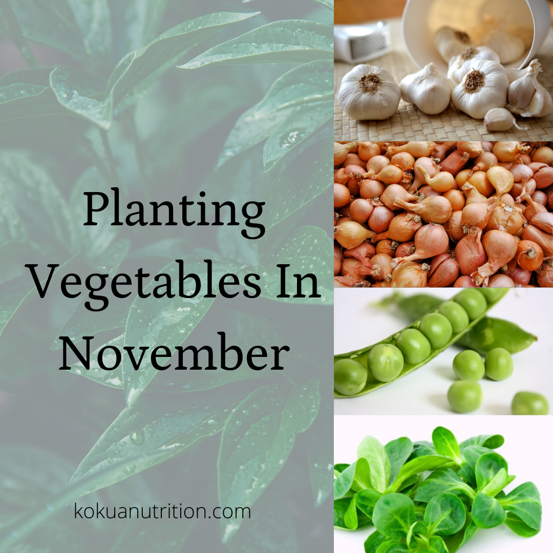 Post 15 | Planting in November