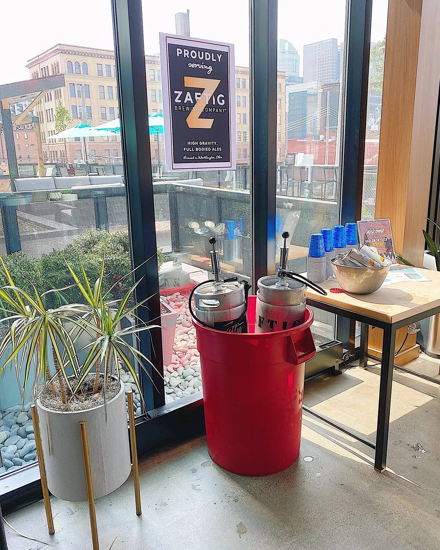 Harlow On Main Apartments