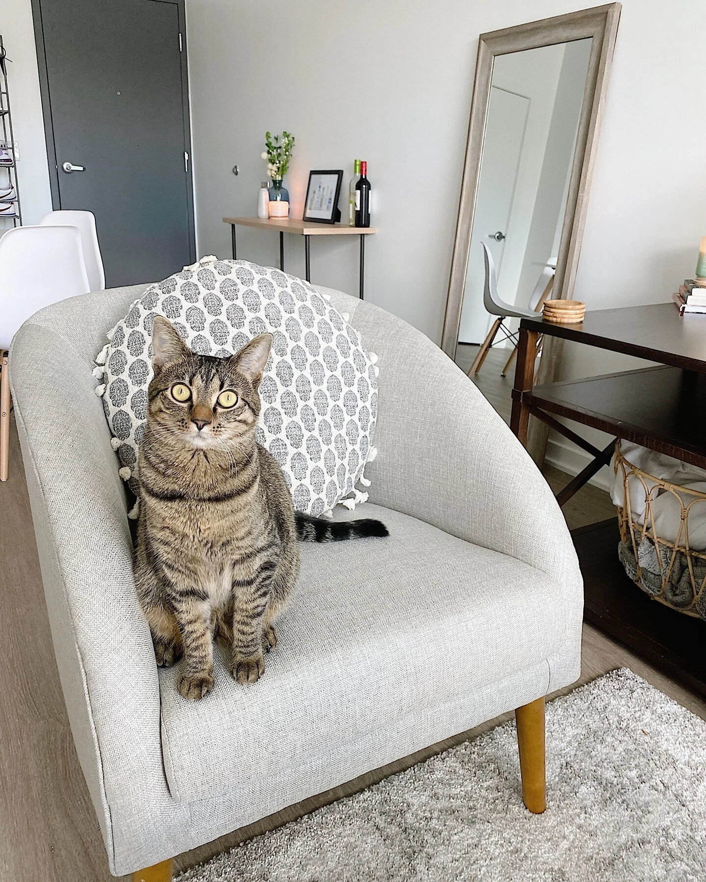 Harlow On Main Apartments