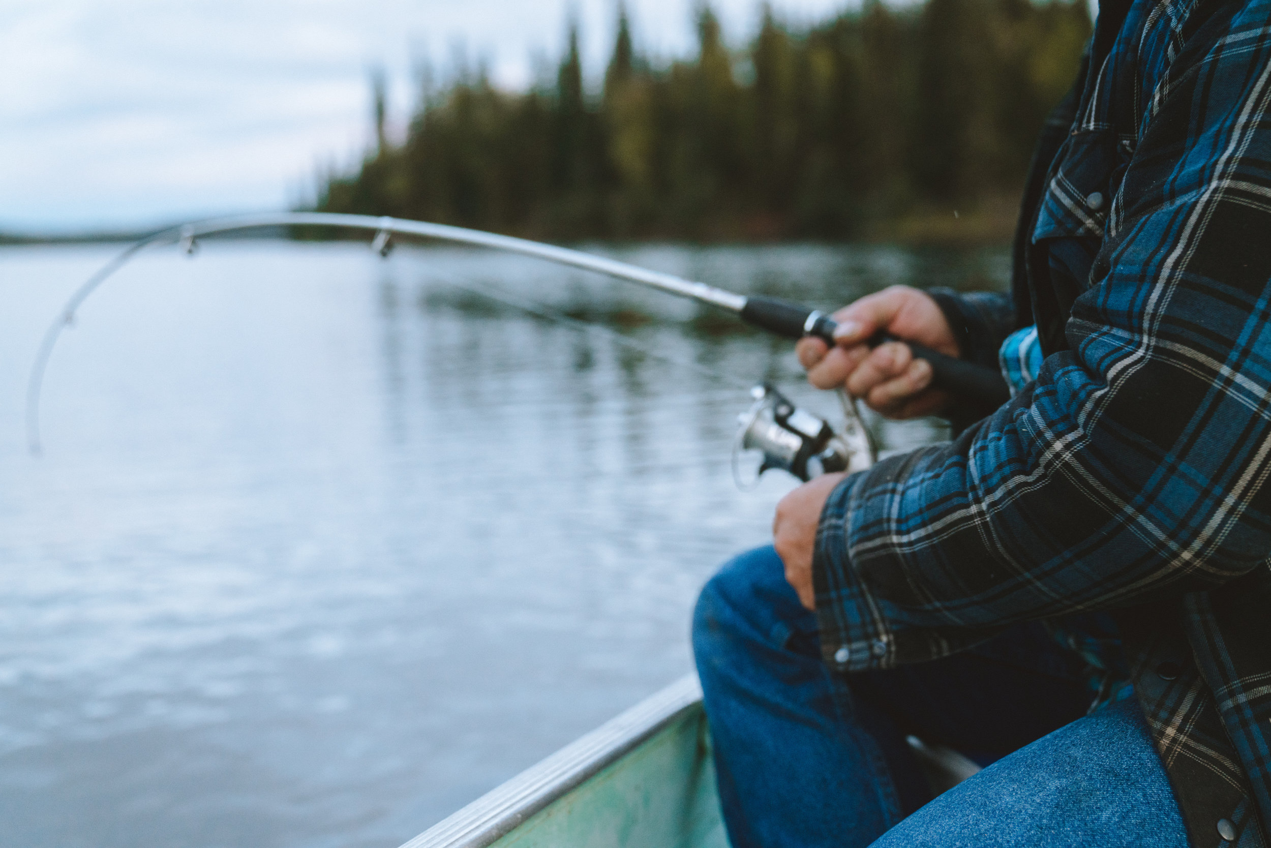 Fishing Rainbow Trout, Char and Kokanee 