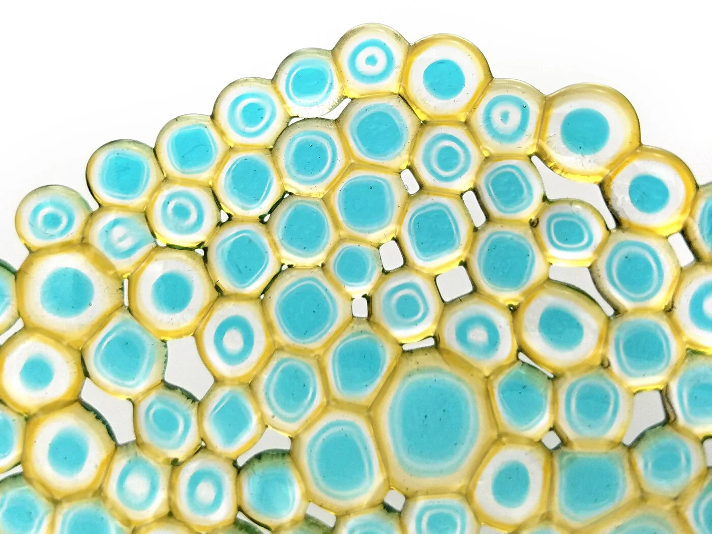 Nido 2 Detail-2-1400.JPG