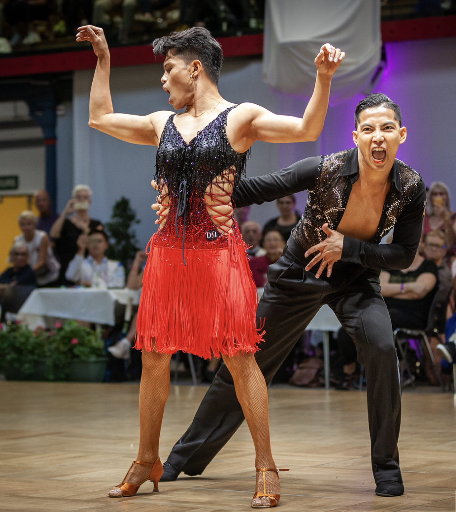 Pasted Graphic 1.png