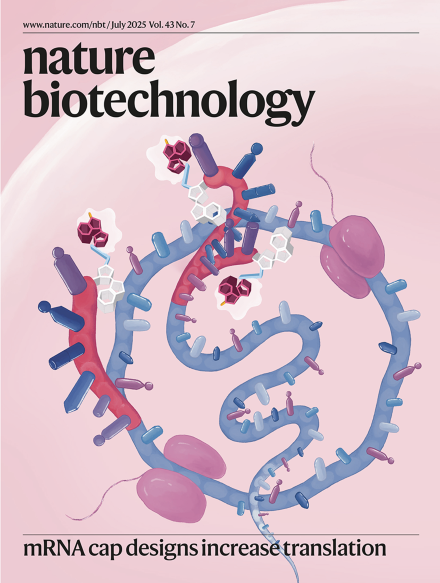 Dual-capped mRNA and capped circular RNA (QRNA), 2025