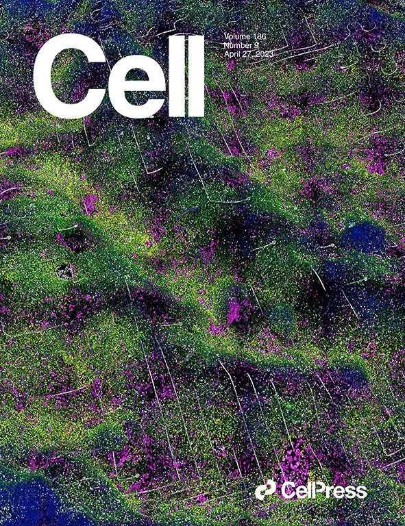 Soft electronics device in 3D oceans of DNA amplicons, 2023