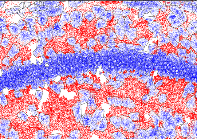 Visualizing mRNA translation by RIBOmap, 2023