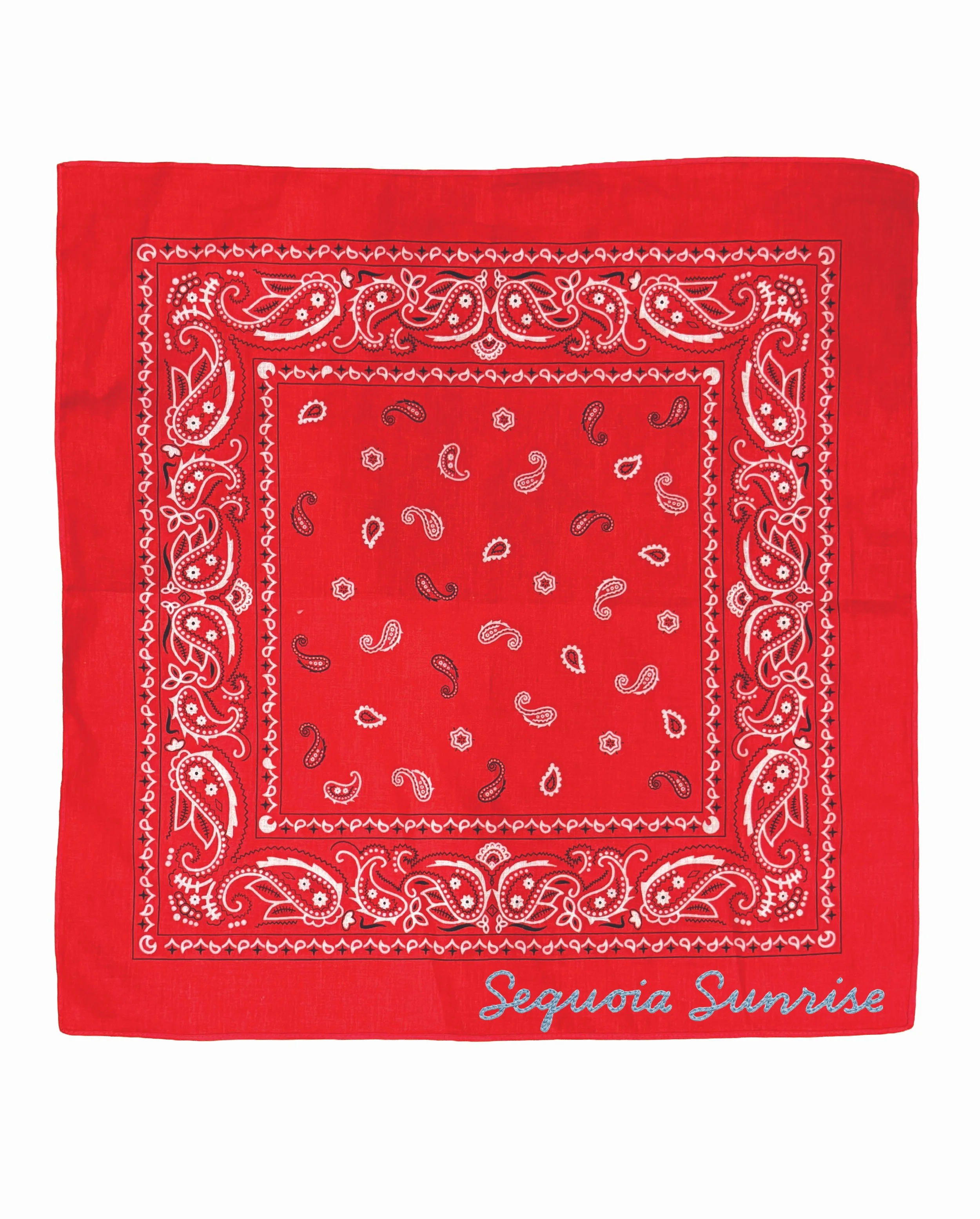 red bandana web.jpg