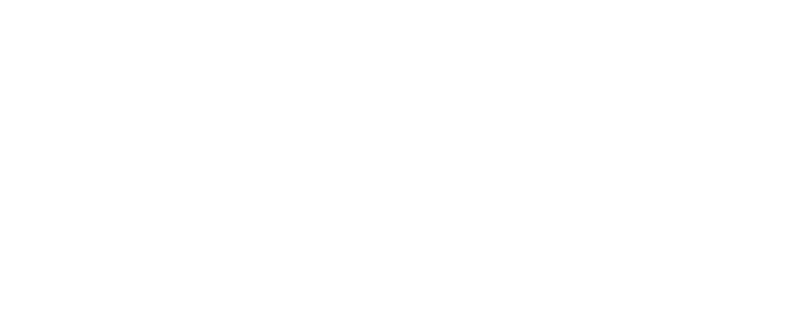 City Net