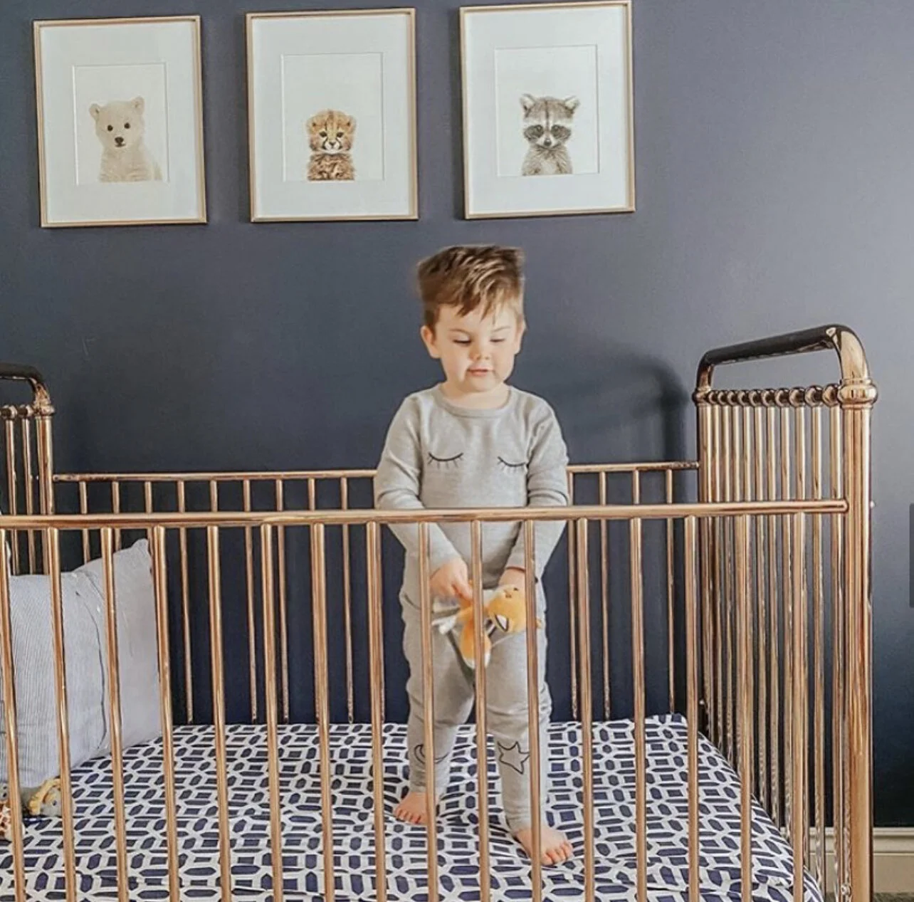 9437D0B8-A4FD-4E33-81AF-5A3F76519A41