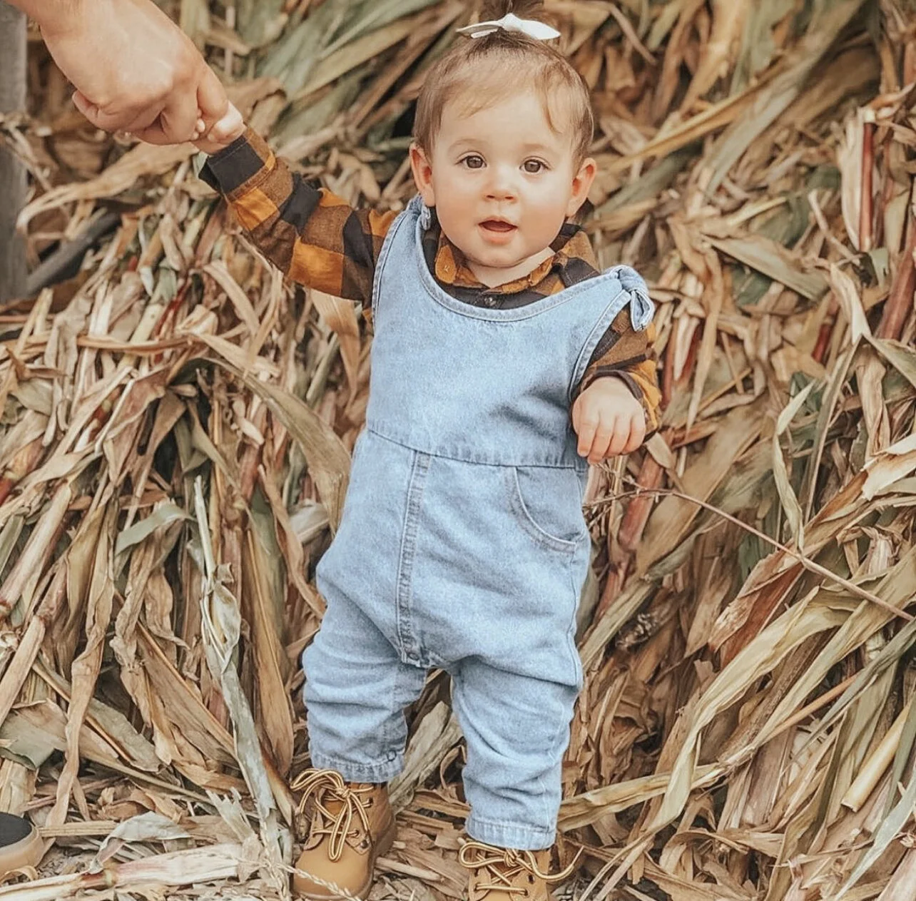 882A9526-812C-4394-B414-F40FBBF1F63C