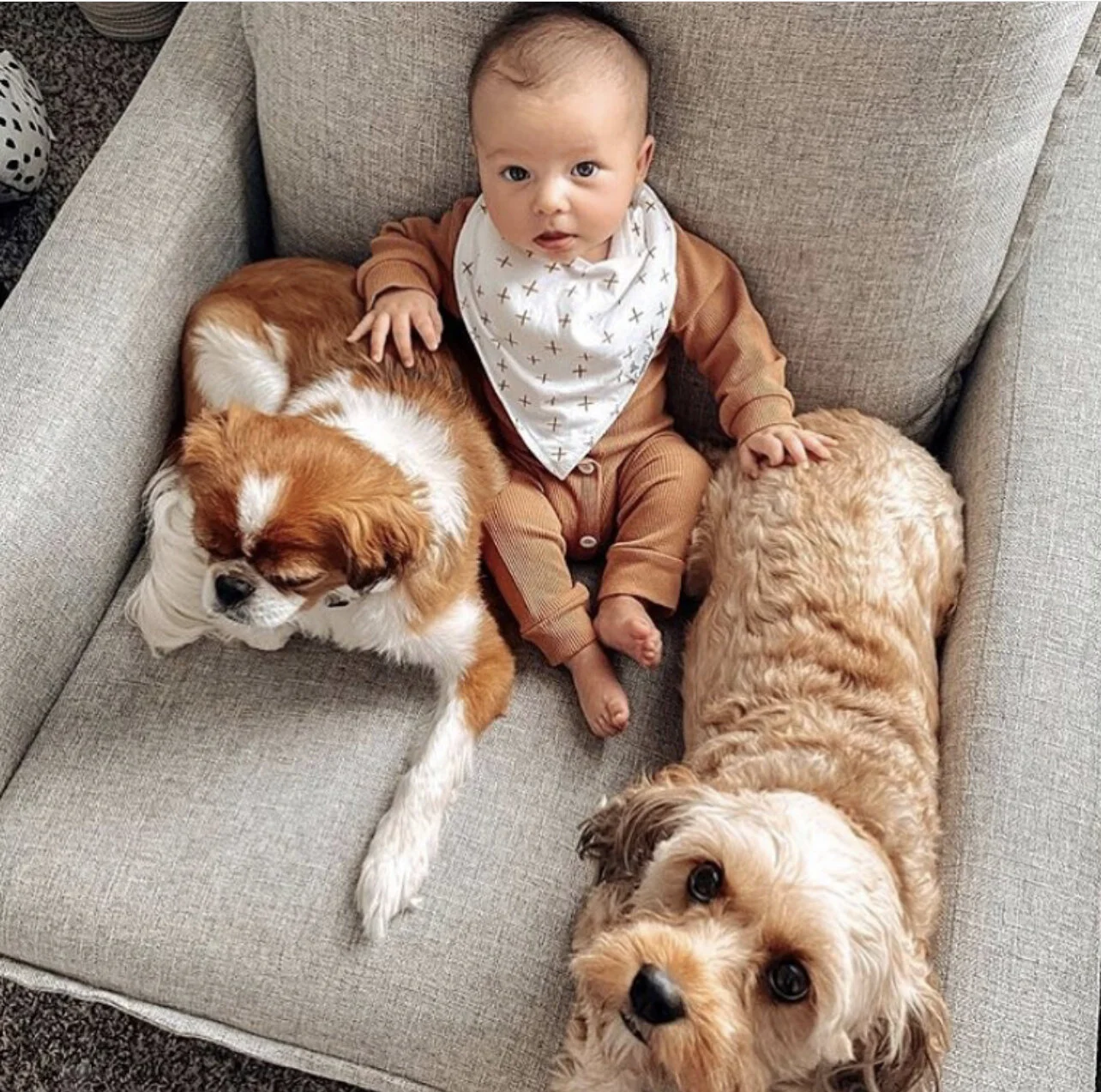 405AAF32-BF35-4CA9-9012-E4F9DFBEE99A