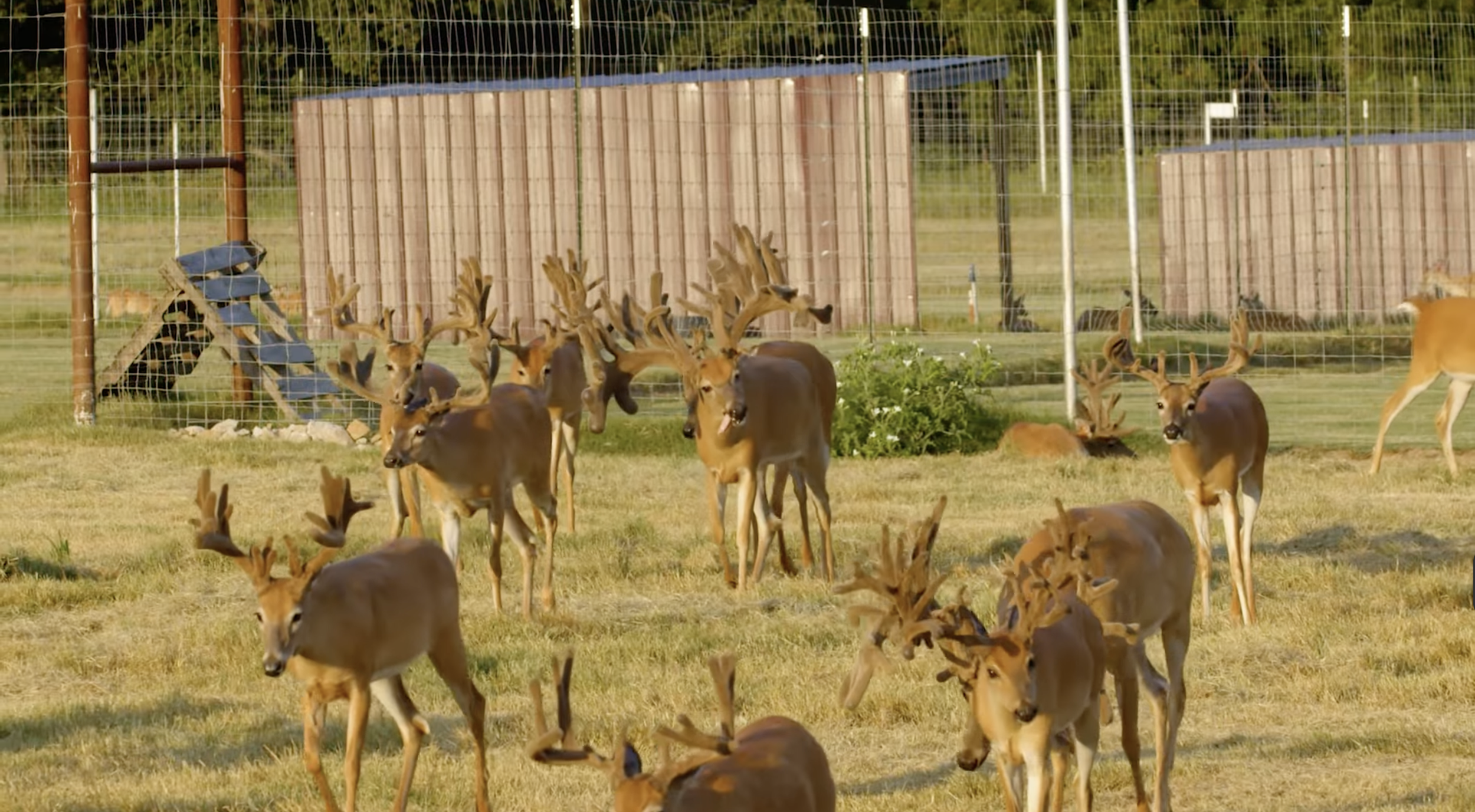 Screenshot 2026-01-29 at 12.15.18 PM.png