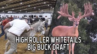 High Roller Buck Draft | The BEST Deer Sale in the World