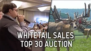 Big Bucks for BIG BUCKS!