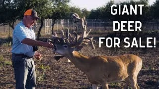 Return to Lone Hollow