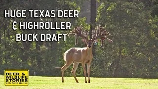HighRoller Whitetails Buck Draft