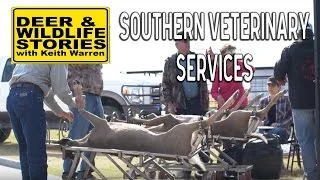 Southern Veterinary Services Pt. 1