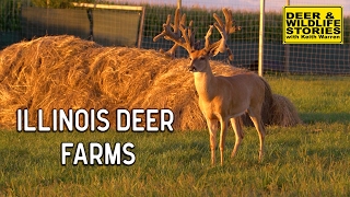 Illinois Deer Farms