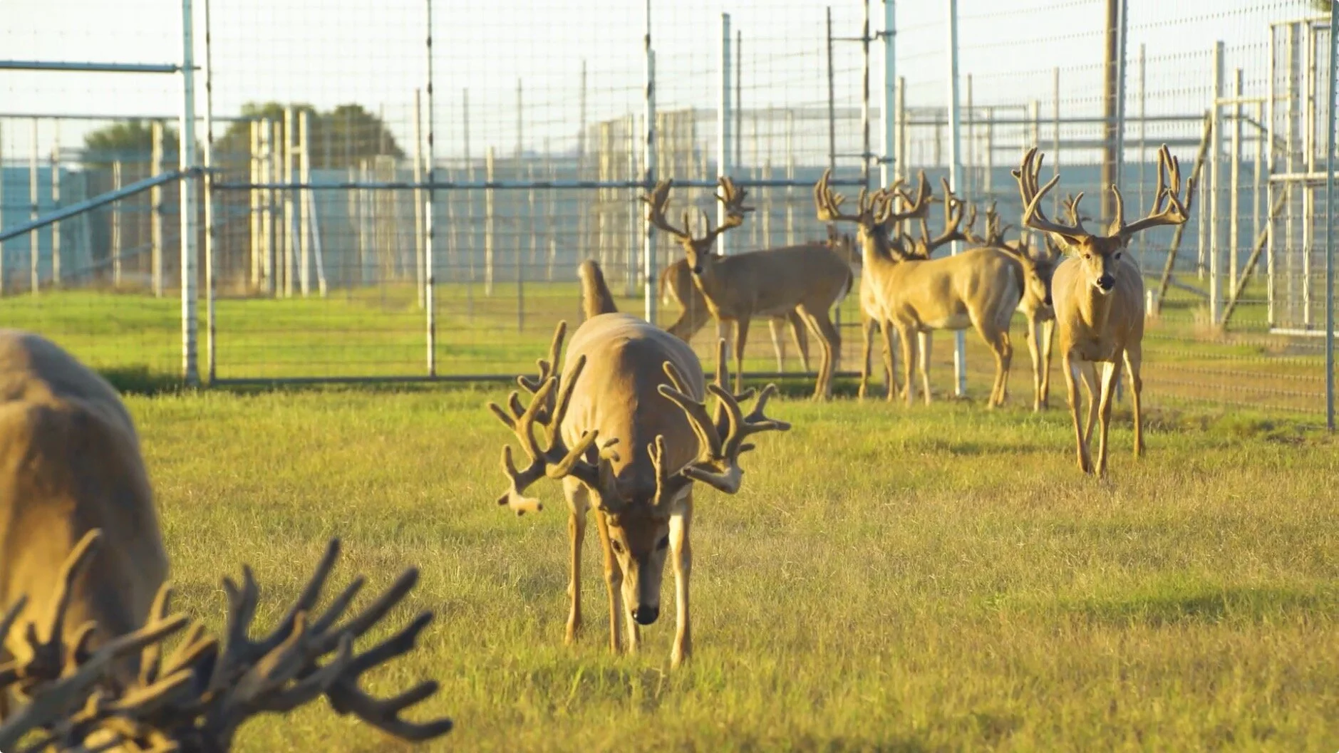 Screen Shot 2020-02-06 at 9.14.57 AM.jpg