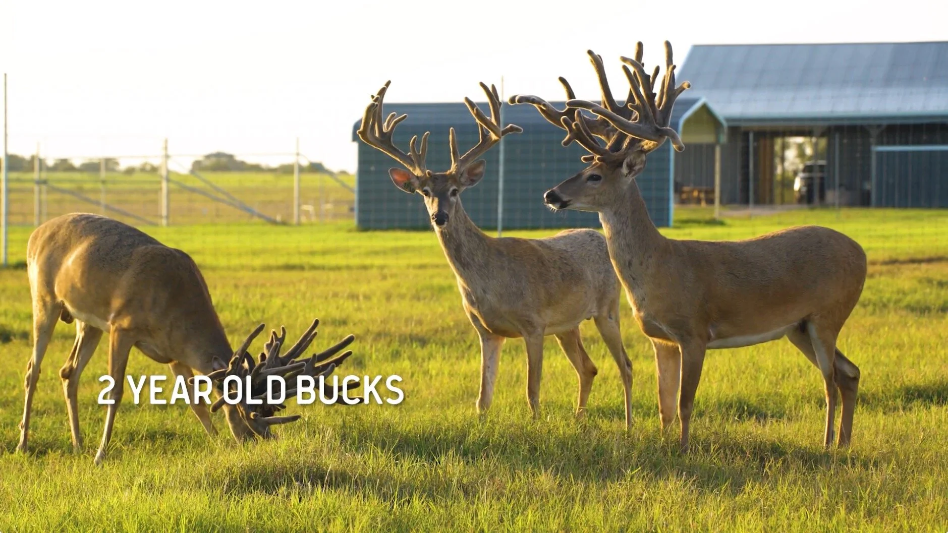 Screen Shot 2020-02-06 at 9.15.15 AM.jpg