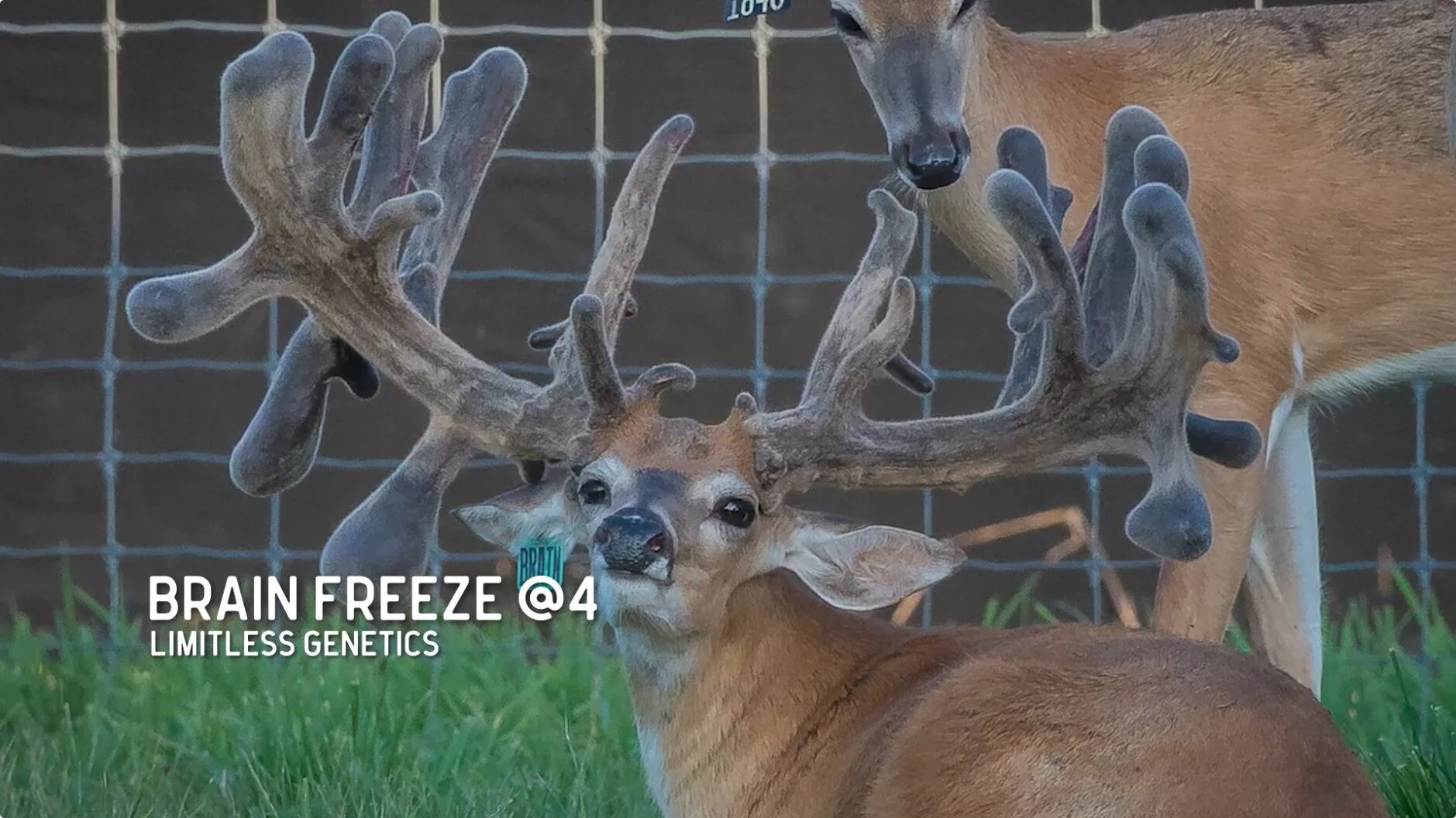 Screen Shot 2020-02-06 at 9.17.14 AM.jpg