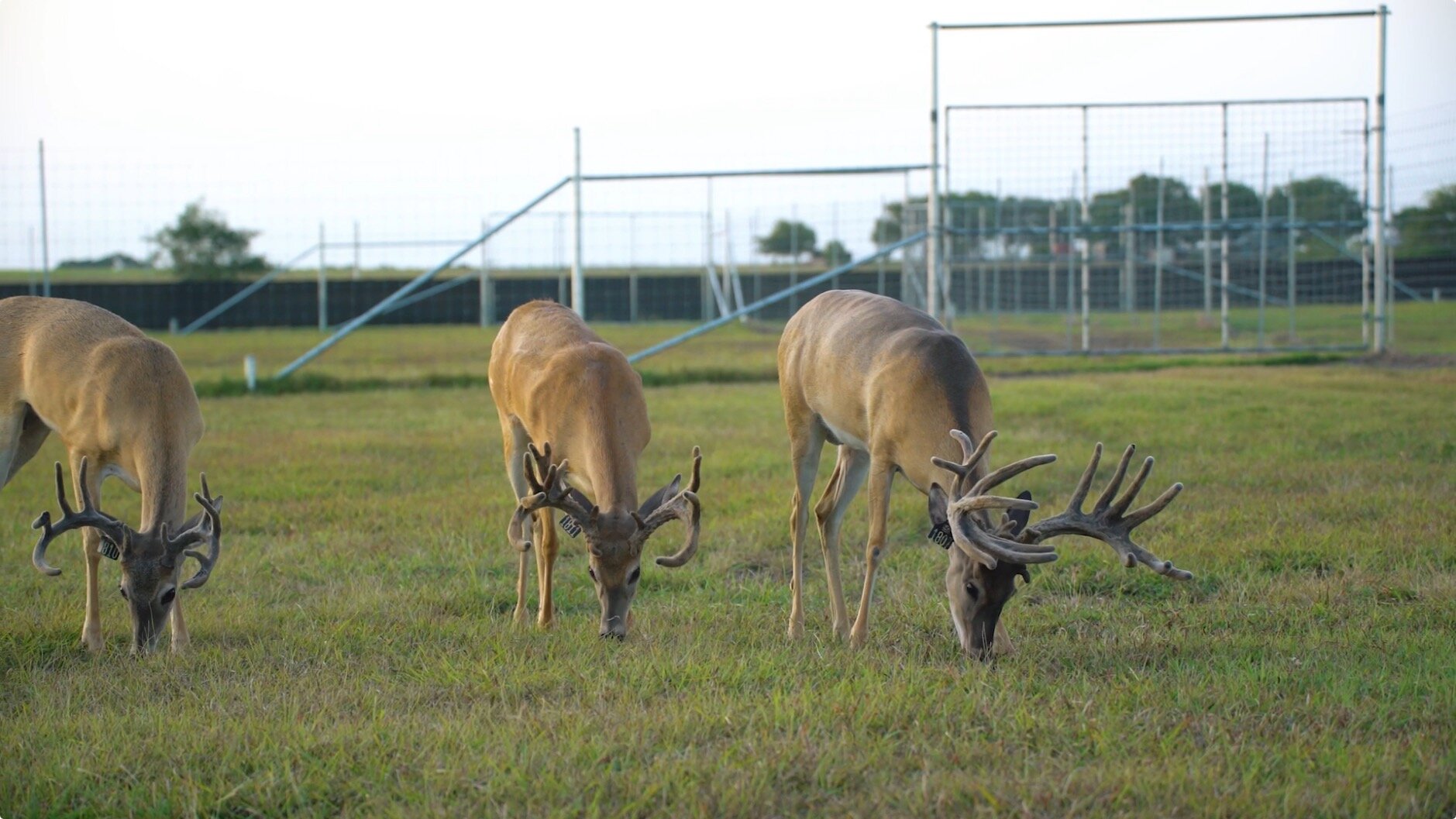 Screen Shot 2020-02-06 at 9.19.12 AM.jpg