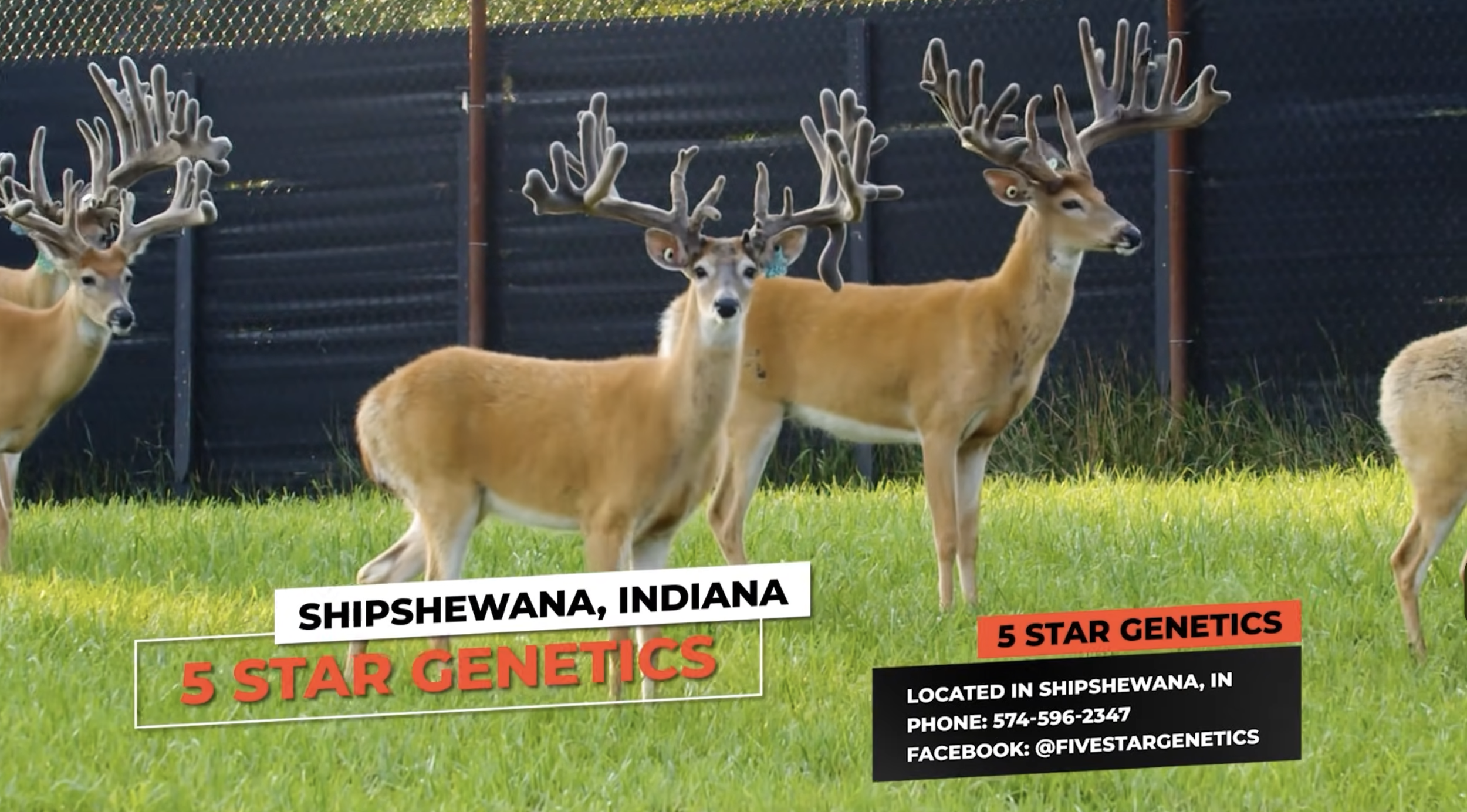 Screenshot 2026-01-23 at 2.24.41 PM.png