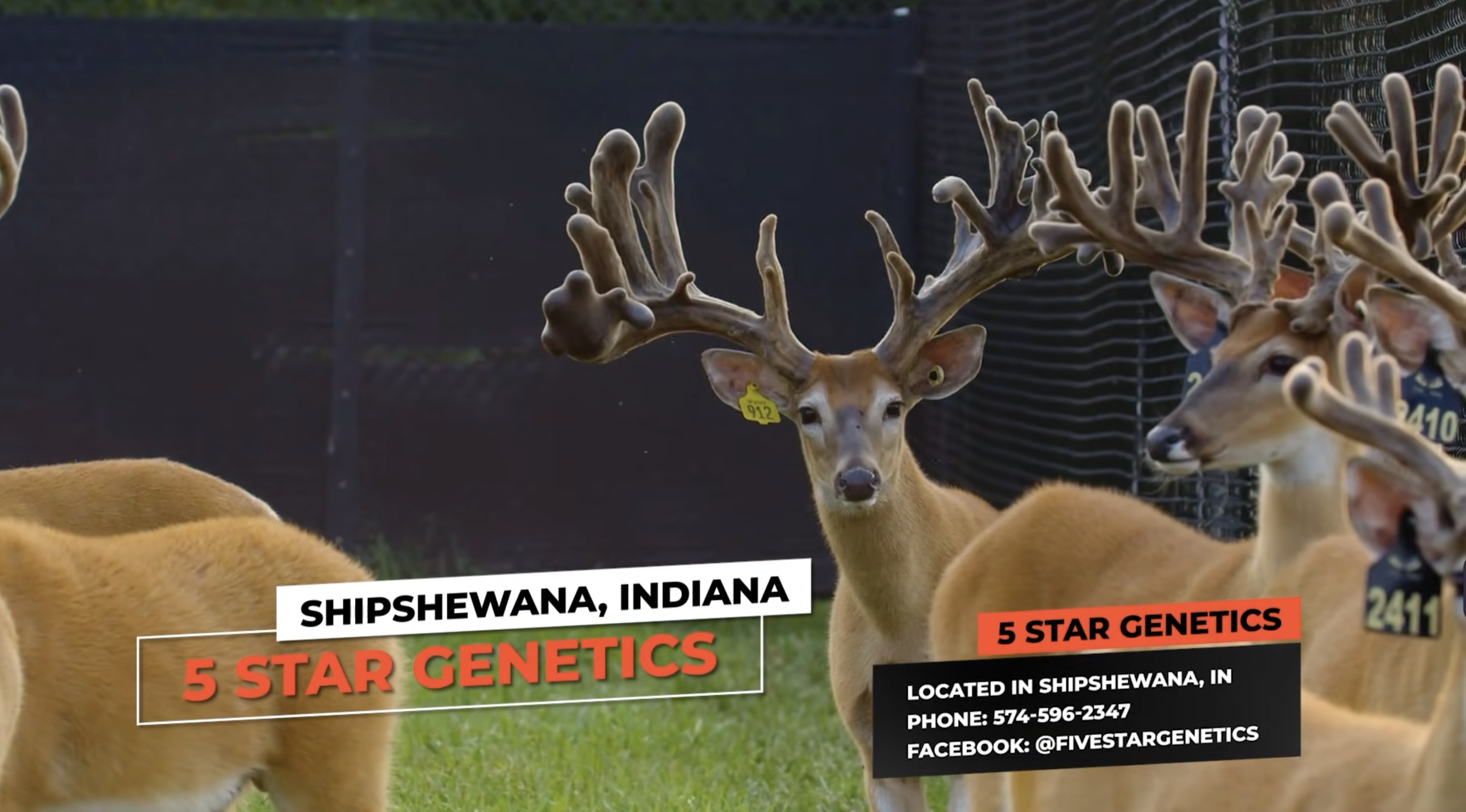 Screenshot 2026-01-23 at 2.25.02 PM.png