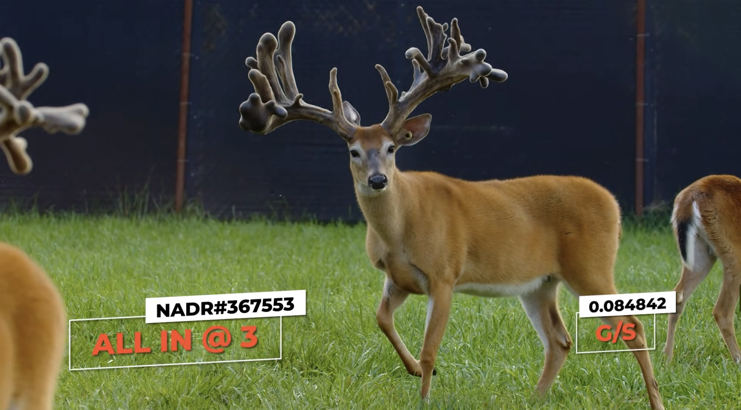 Screenshot 2026-01-23 at 2.26.03 PM.png