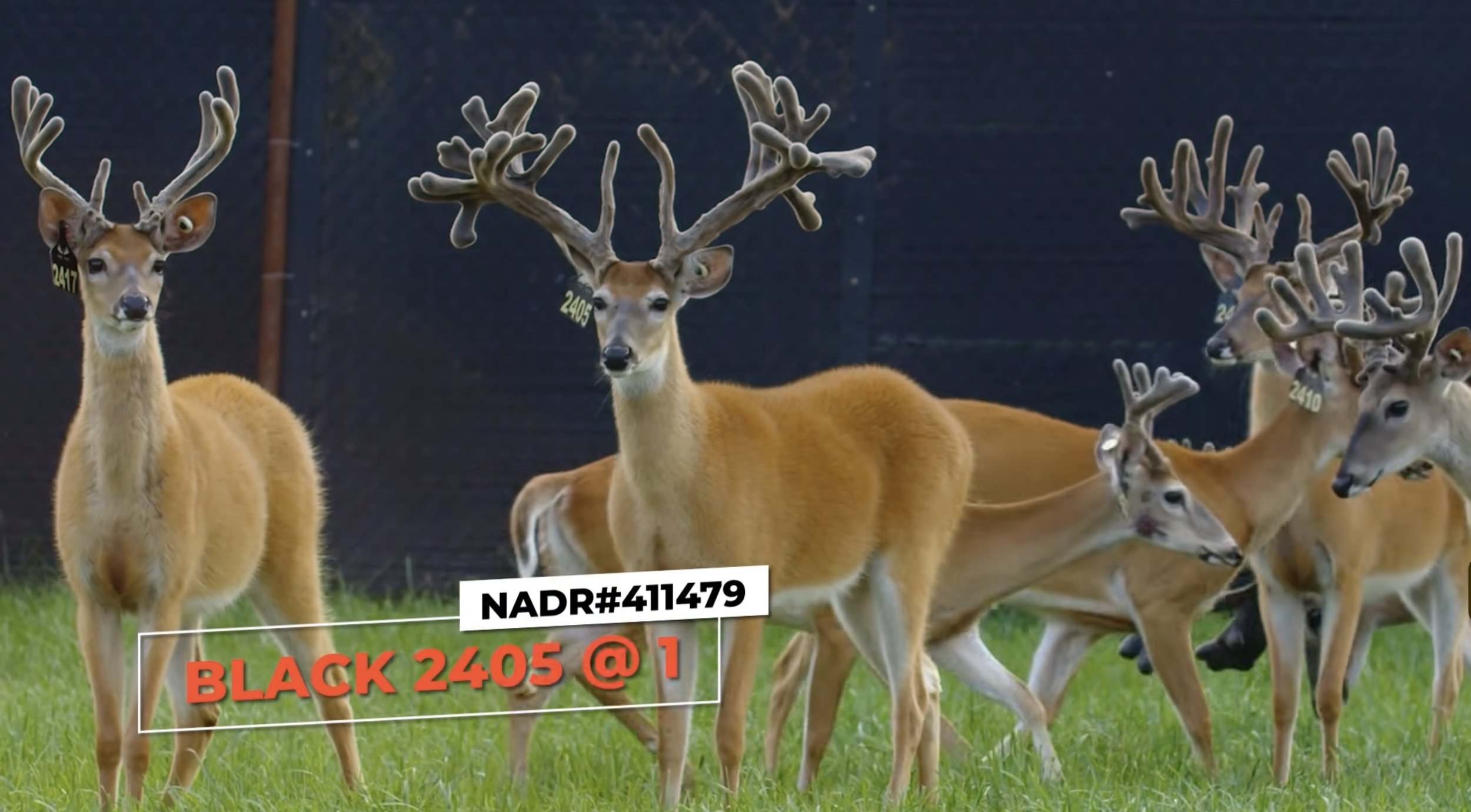 Screenshot 2026-01-23 at 2.26.48 PM.png