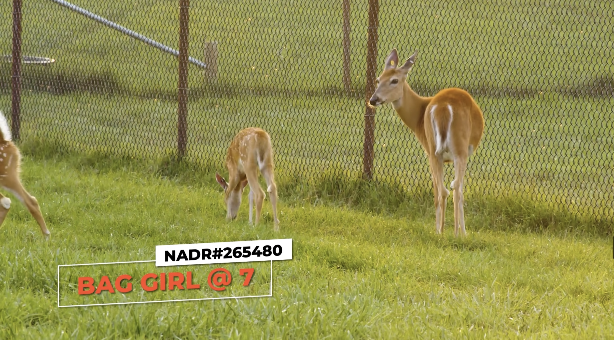 Screenshot 2026-01-23 at 2.27.27 PM.png