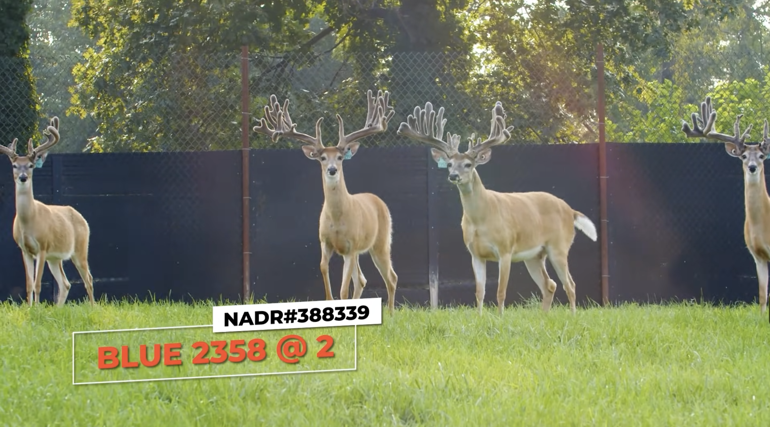 Screenshot 2026-01-23 at 2.27.48 PM.png