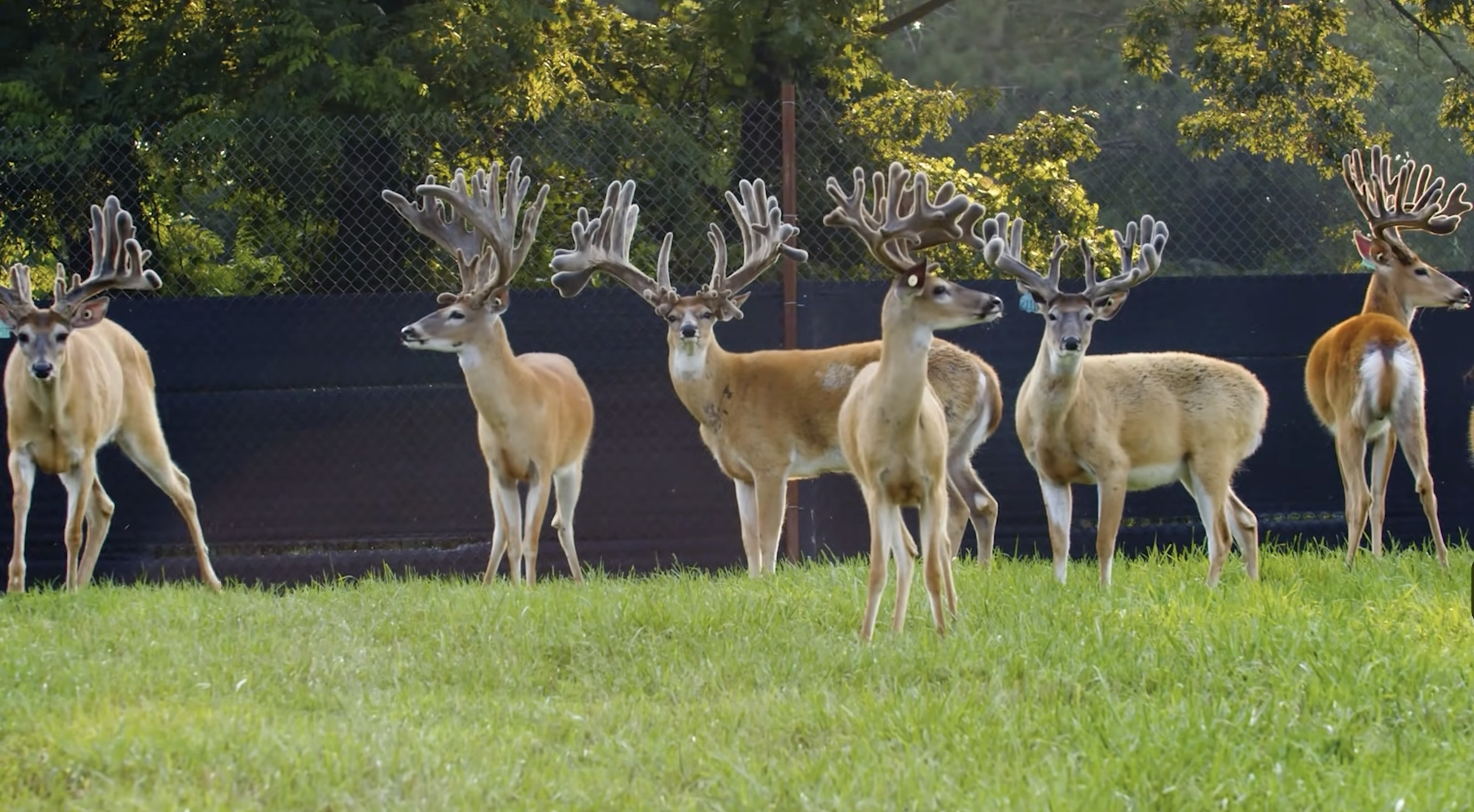 Screenshot 2026-01-23 at 2.28.11 PM.png