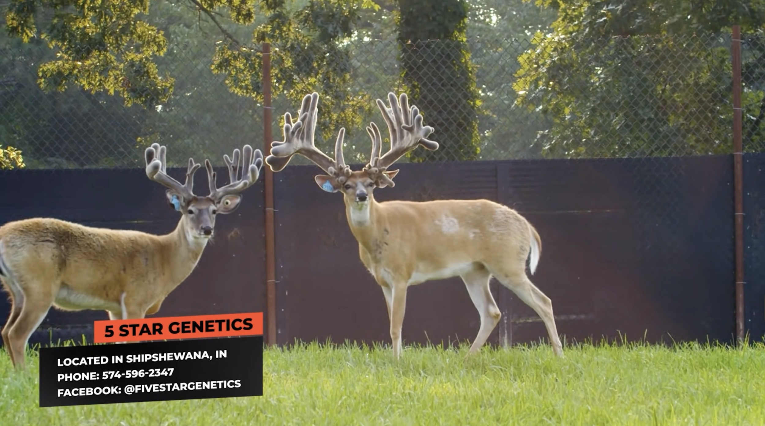 Screenshot 2026-01-23 at 2.30.05 PM.png