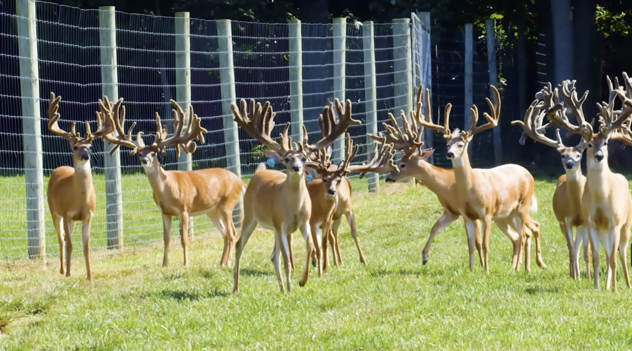 Screenshot 2026-01-23 at 2.47.53 PM.png