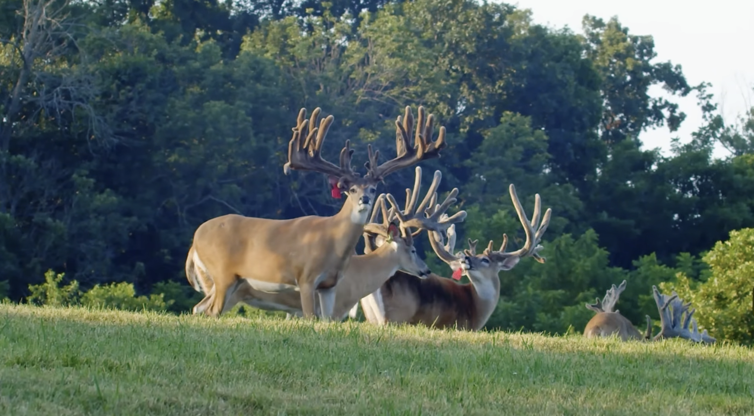 Screenshot 2026-01-23 at 2.49.26 PM.png