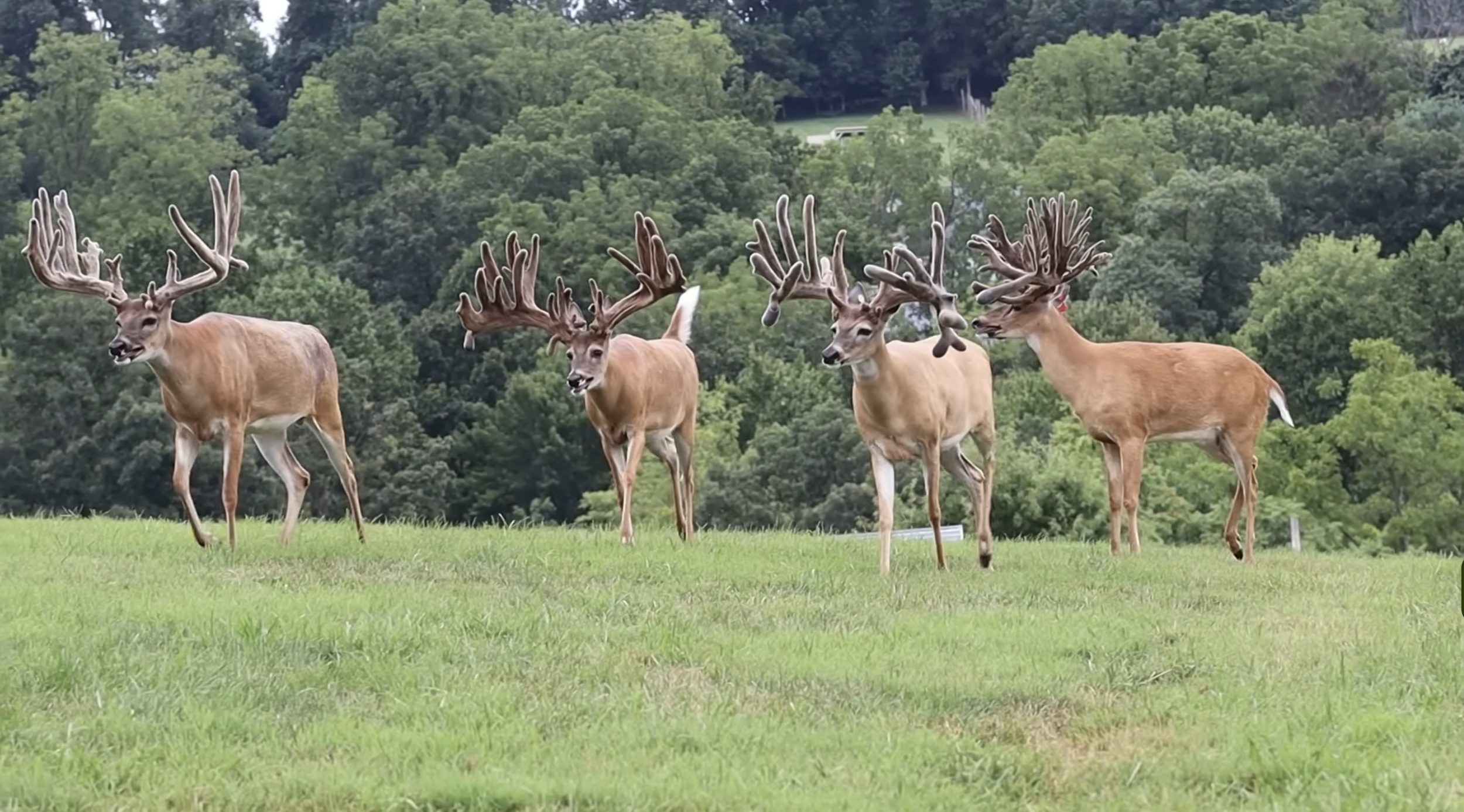 Screenshot 2026-01-23 at 2.48.24 PM.png