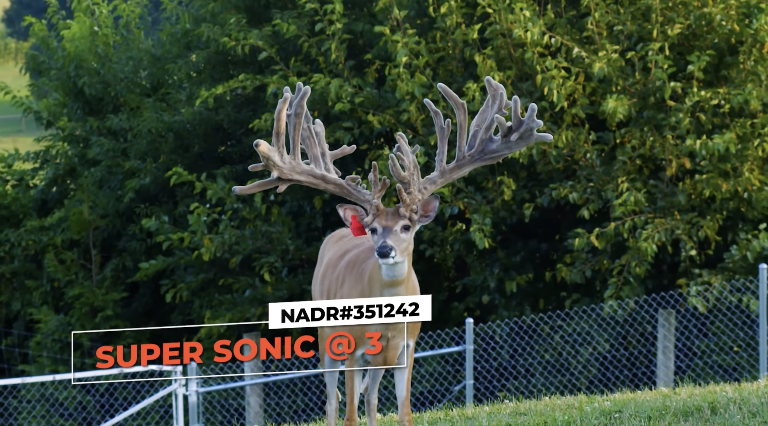 Screenshot 2026-01-23 at 2.50.42 PM.png