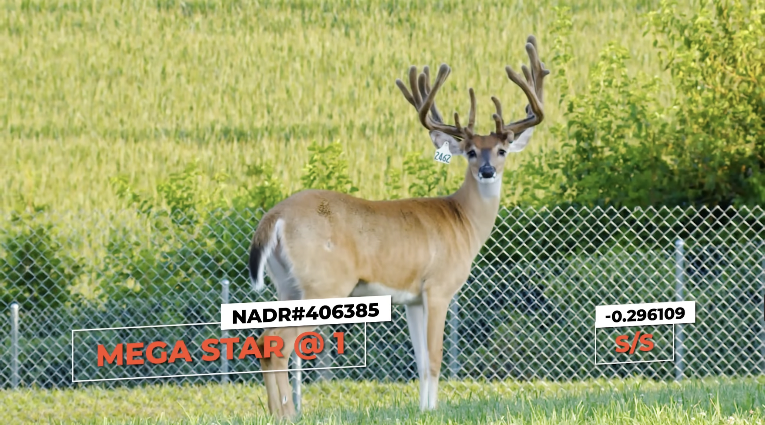 Screenshot 2026-01-23 at 2.50.15 PM.png